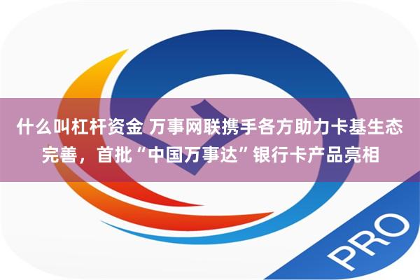 什么叫杠杆资金 万事网联携手各方助力卡基生态完善，首批“中国万事达”银行卡产品亮相