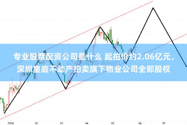 专业股票配资公司是什么 起拍价约2.06亿元，深圳皇庭不动产拍卖旗下物业公司全部股权