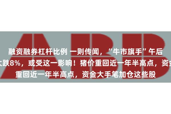 融资融券杠杆比例 一则传闻，“牛市旗手”午后拉升！钛白粉龙头大跌8%，或受这一影响！猪价重回近一年半高点，资金大手笔加仓这些股