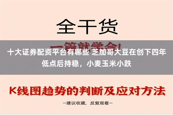 十大证券配资平台有哪些 芝加哥大豆在创下四年低点后持稳，小麦玉米小跌