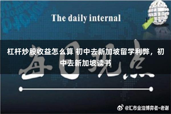 杠杆炒股收益怎么算 初中去新加坡留学利弊，初中去新加坡读书