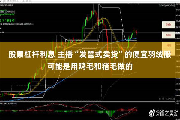 股票杠杆利息 主播“发誓式卖货”的便宜羽绒服可能是用鸡毛和猪毛做的