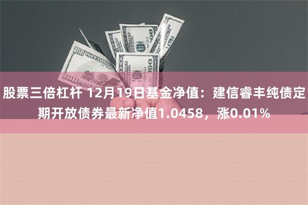 股票三倍杠杆 12月19日基金净值：建信睿丰纯债定期开放债券最新净值1.0458，涨0.01%