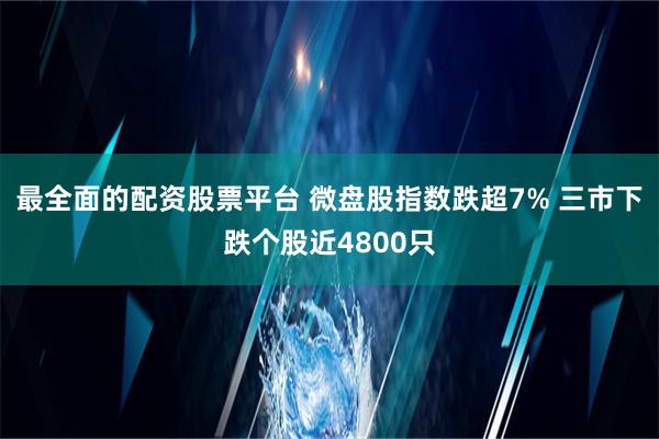 最全面的配资股票平台 微盘股指数跌超7% 三市下跌个股近4800只